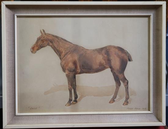 Frank Paton (1856-1909) Portrait of a horse, Daisy 9 x 12.5in.